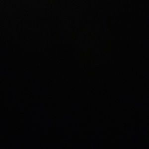 Meet your Posher, Selena